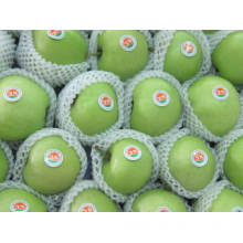 Top Quality Fresh Green Gala Apple